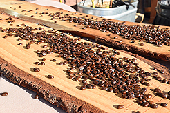 LADY 12 CELEBRITY FASHION SHOW AT METROPOLIST